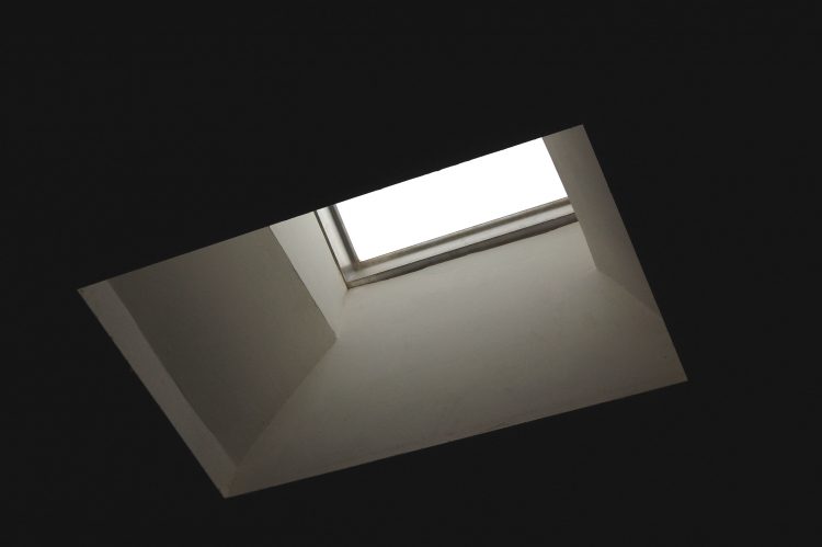 Buy skylight flat roof