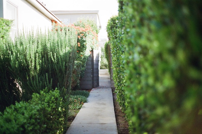 Small garden landscaping