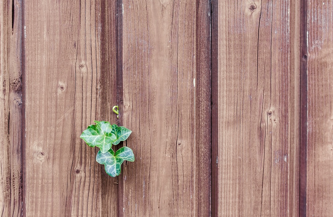 Fence put up wood