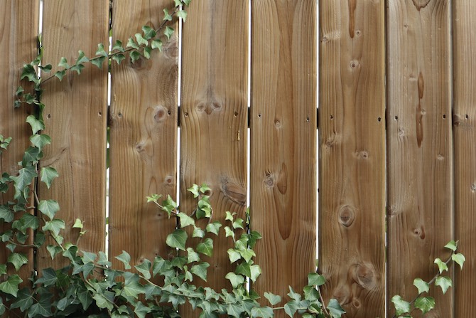 Garden fence