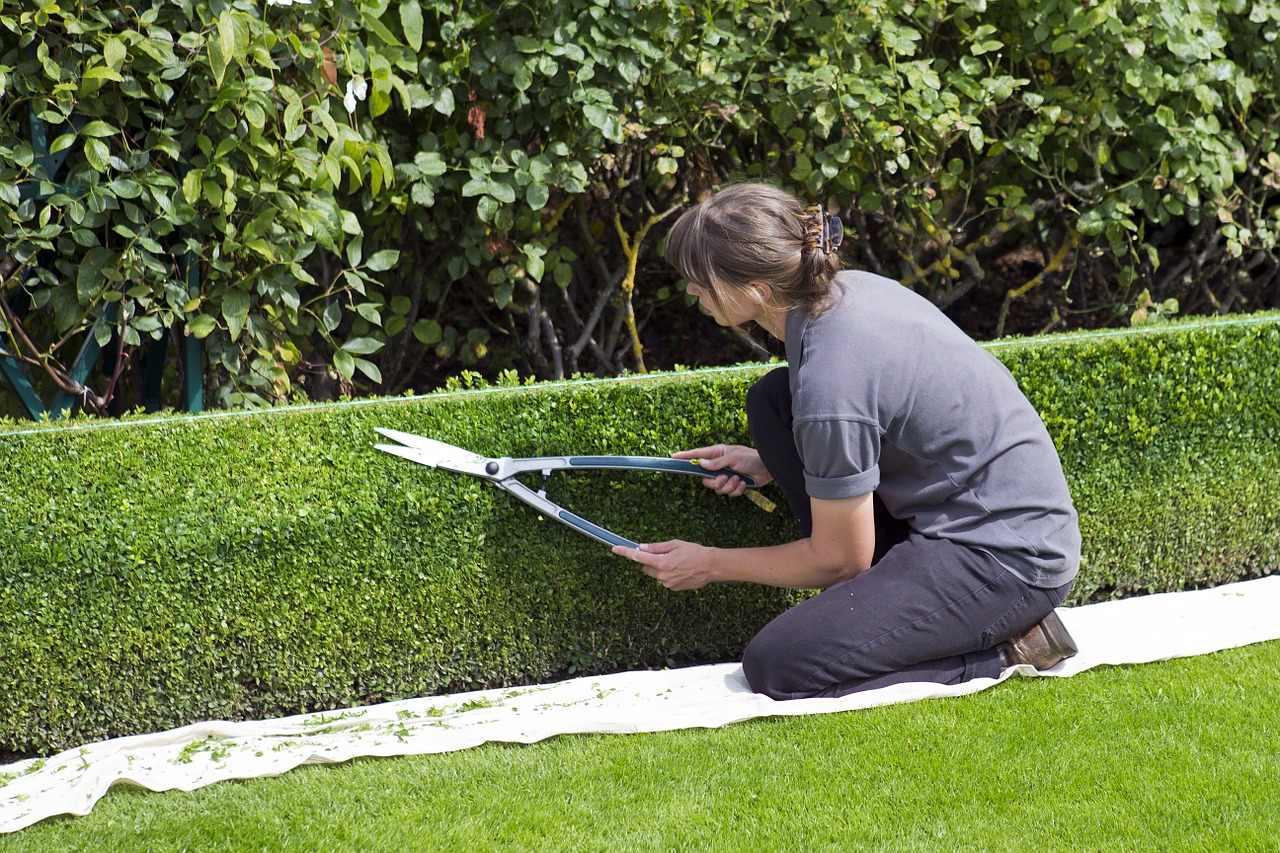 Garden maintenance