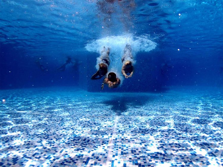 Swimming pool in the garden